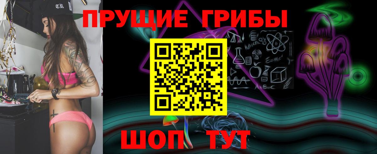 купить   Вход с VPN  Псилоцибиновые грибы Psilocybe  Рассказово  Псилоцибиновые грибы Magic Shrooms 